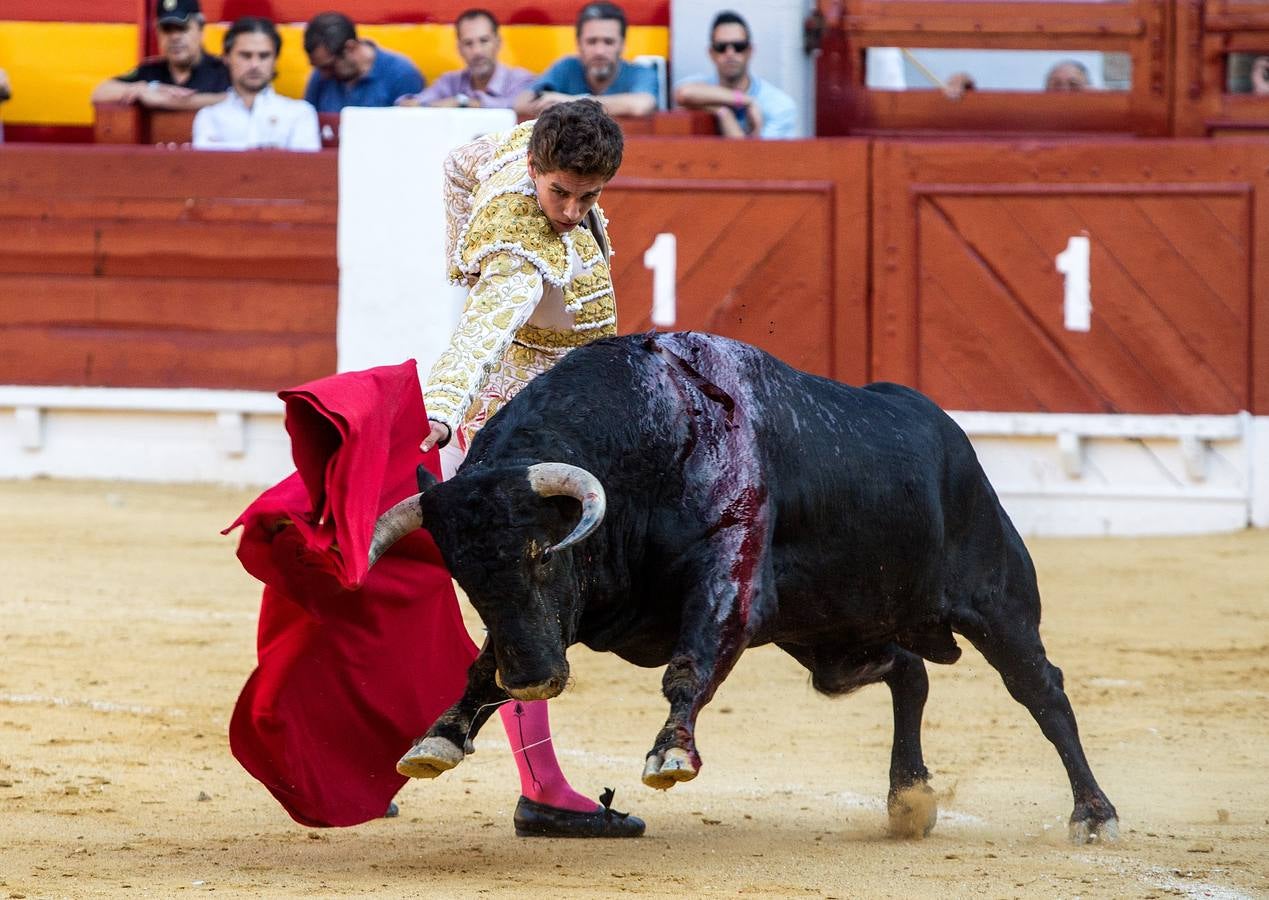 Novillada en la Plaza de Toros de Alicante