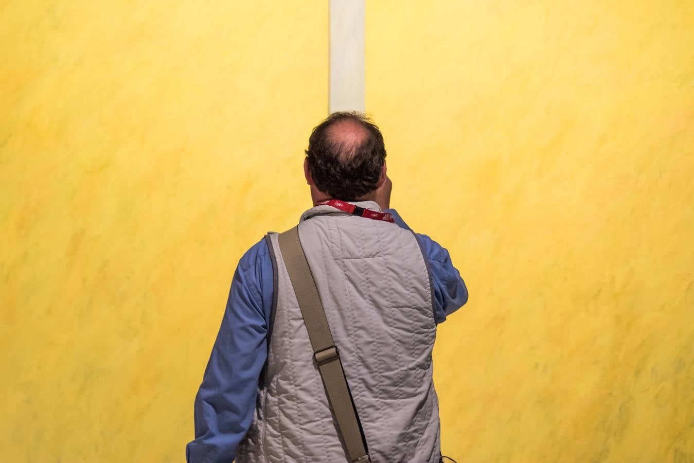 &#039;La piel traslúcida&#039;, en el Centro Cultural Bancaja