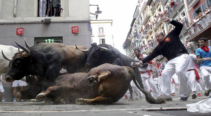 Uno de los toros cae al suelo durante el encierro.