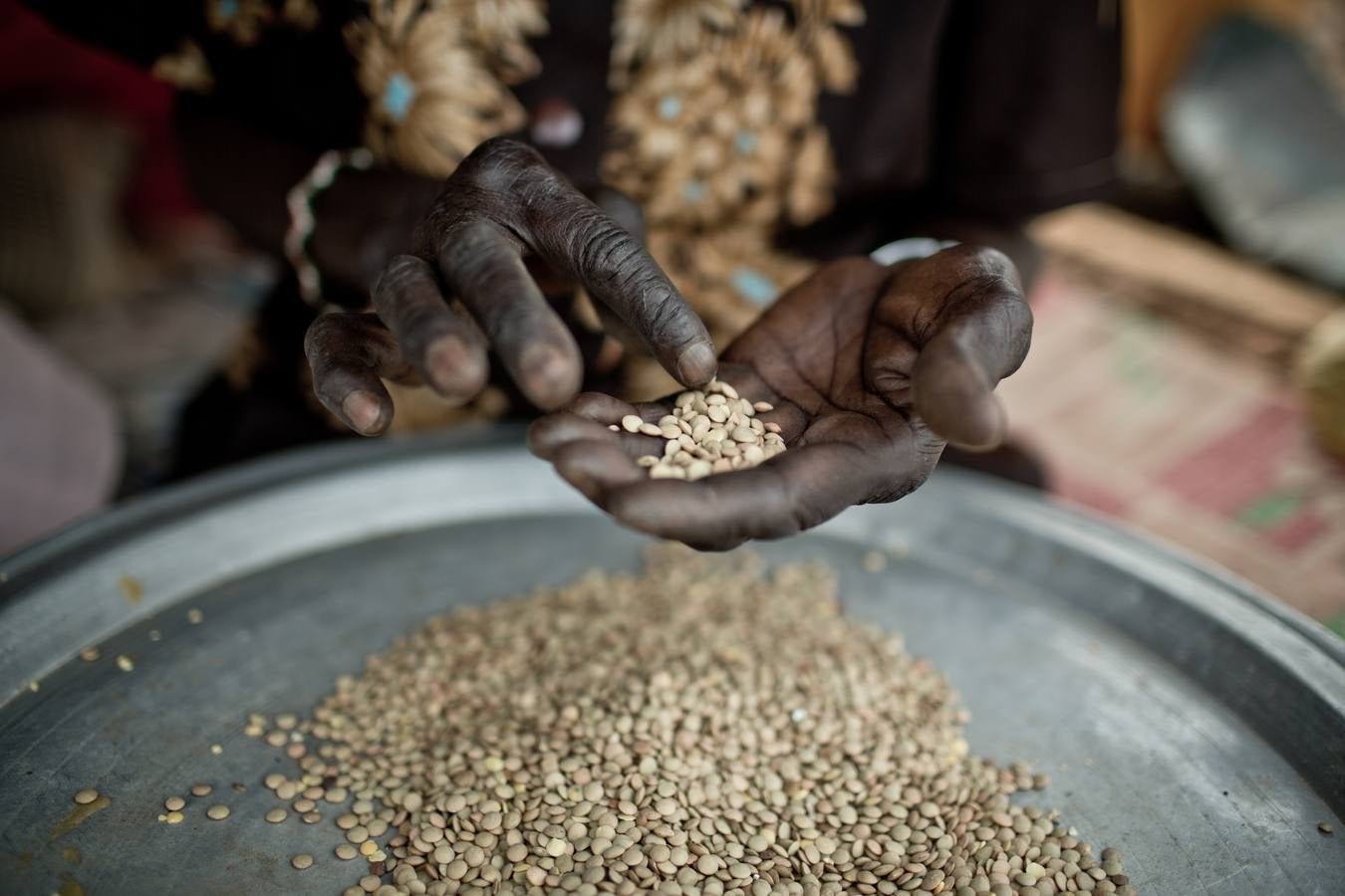 Guerra y hambre en el país más joven del mundo