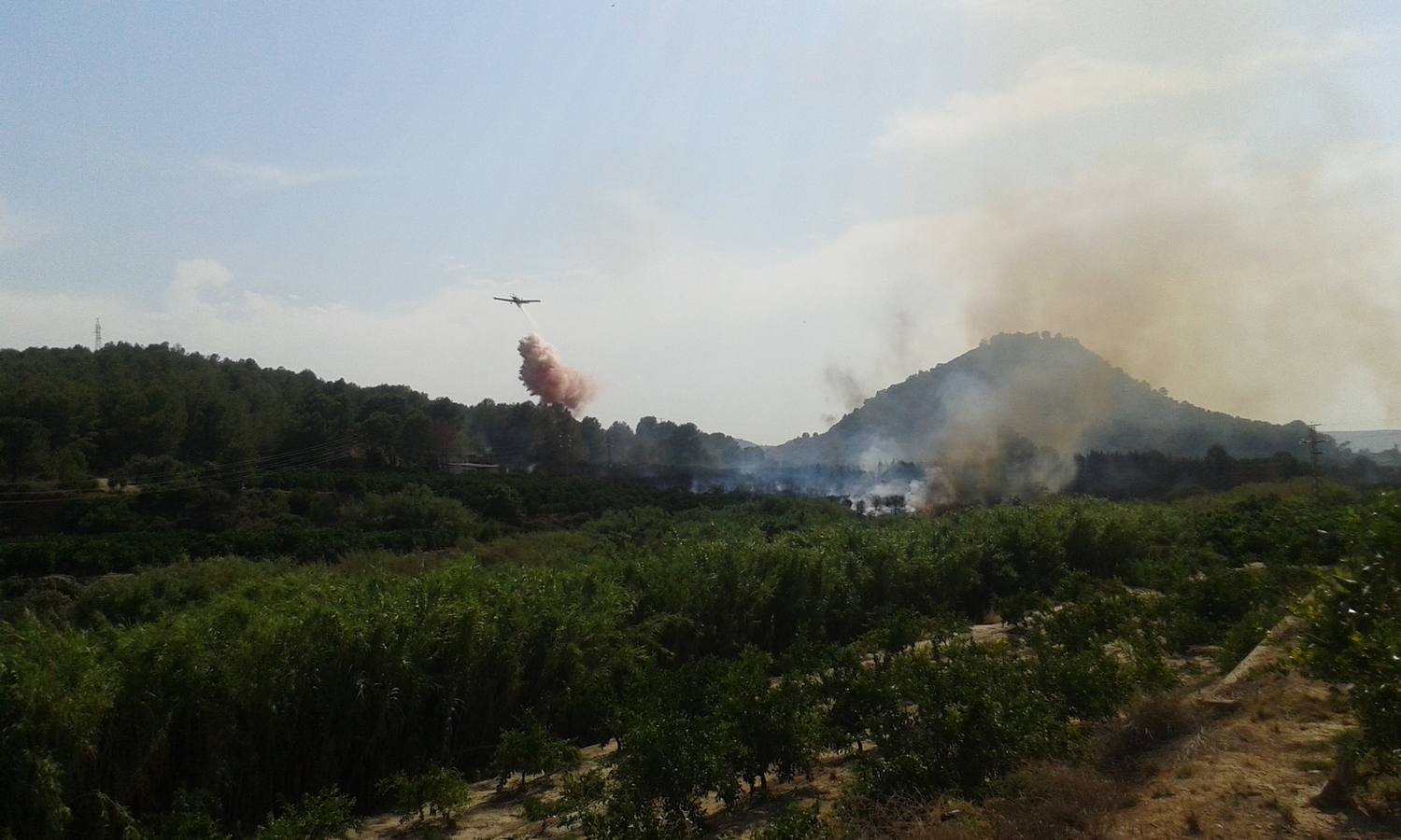 Incendio en Manuel (Ribera Alta)