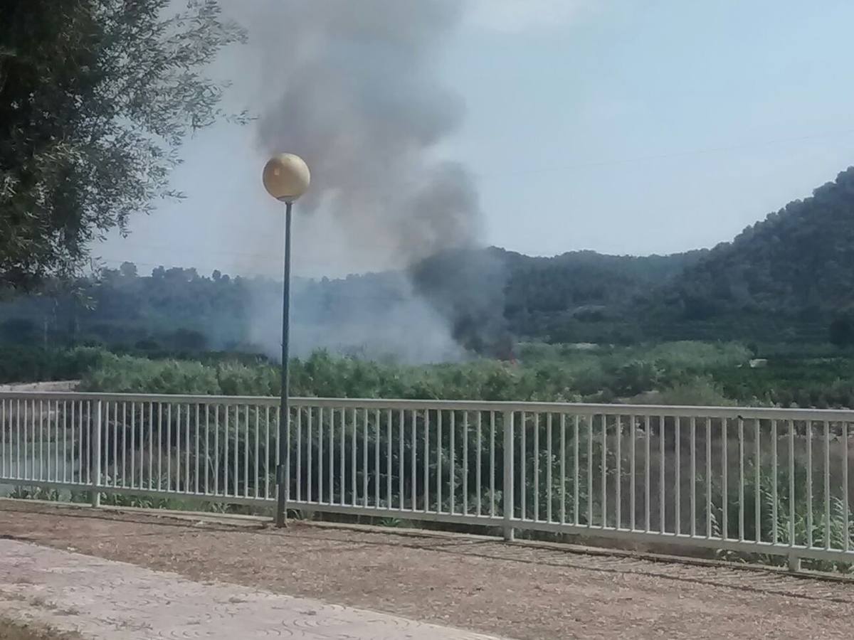 Incendio en Manuel (Ribera Alta)