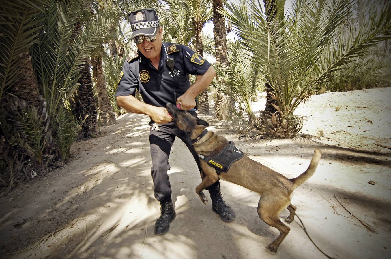 Unidad canina de la Policía Local de Elche