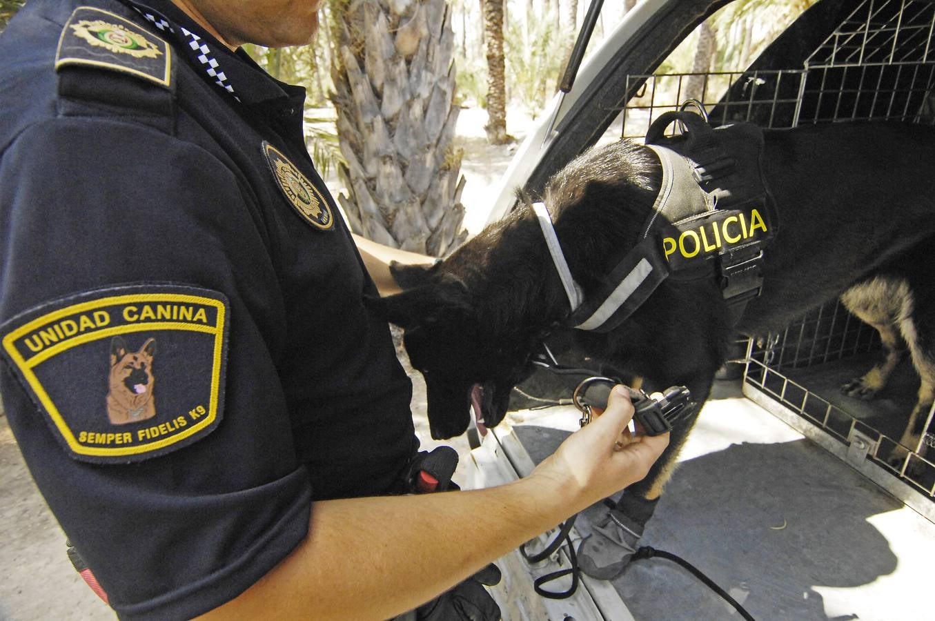 Unidad canina de la Policía Local de Elche