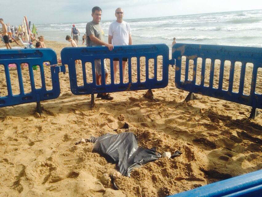 Encuentran una tortuga boba desovando en la playa de La Mata