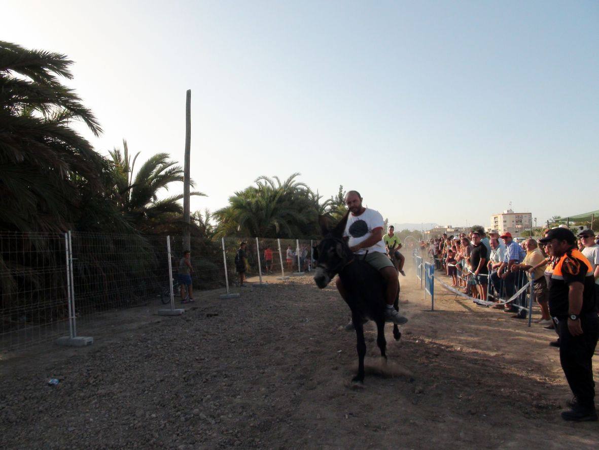 Carrera de burros y asnos de Dolores