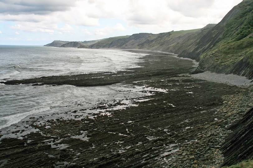 Flysch. 