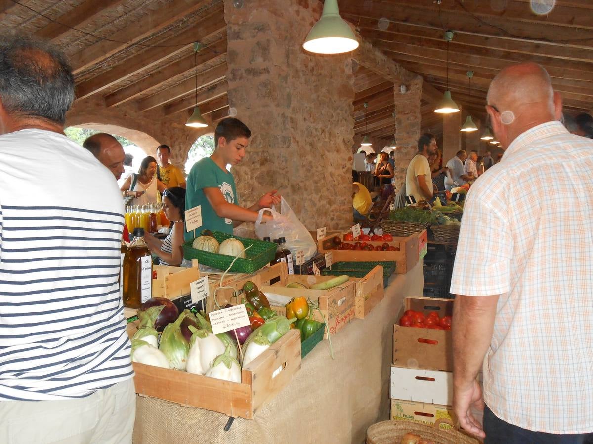 Mercat del Riu Rau (Jesús Pobre). 