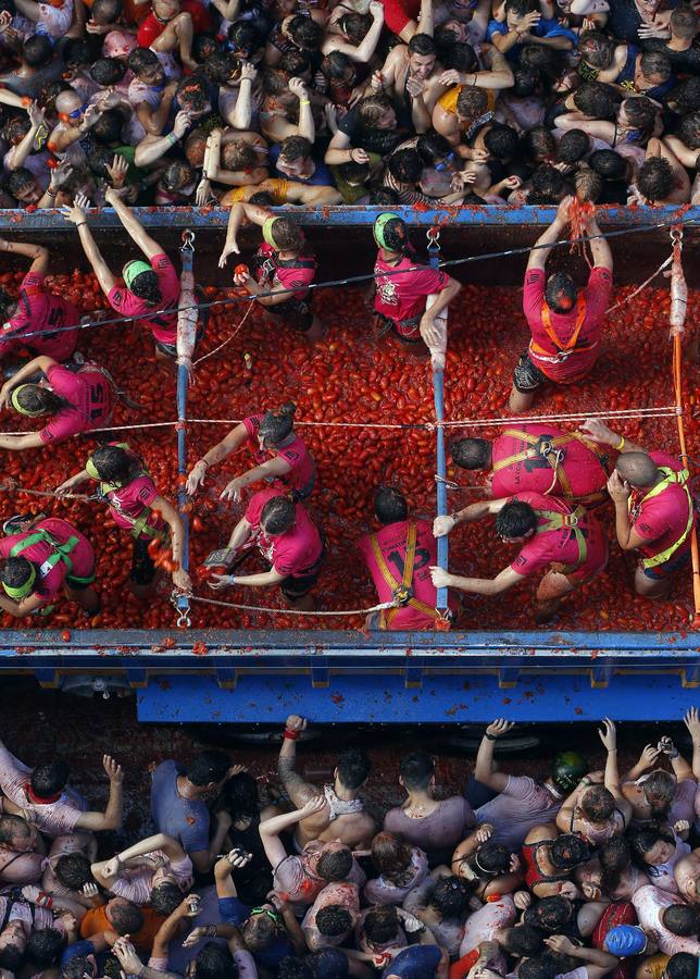 Tomatina 2015