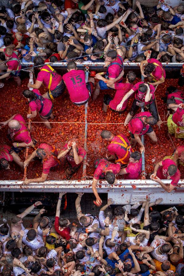 Tomatina 2015