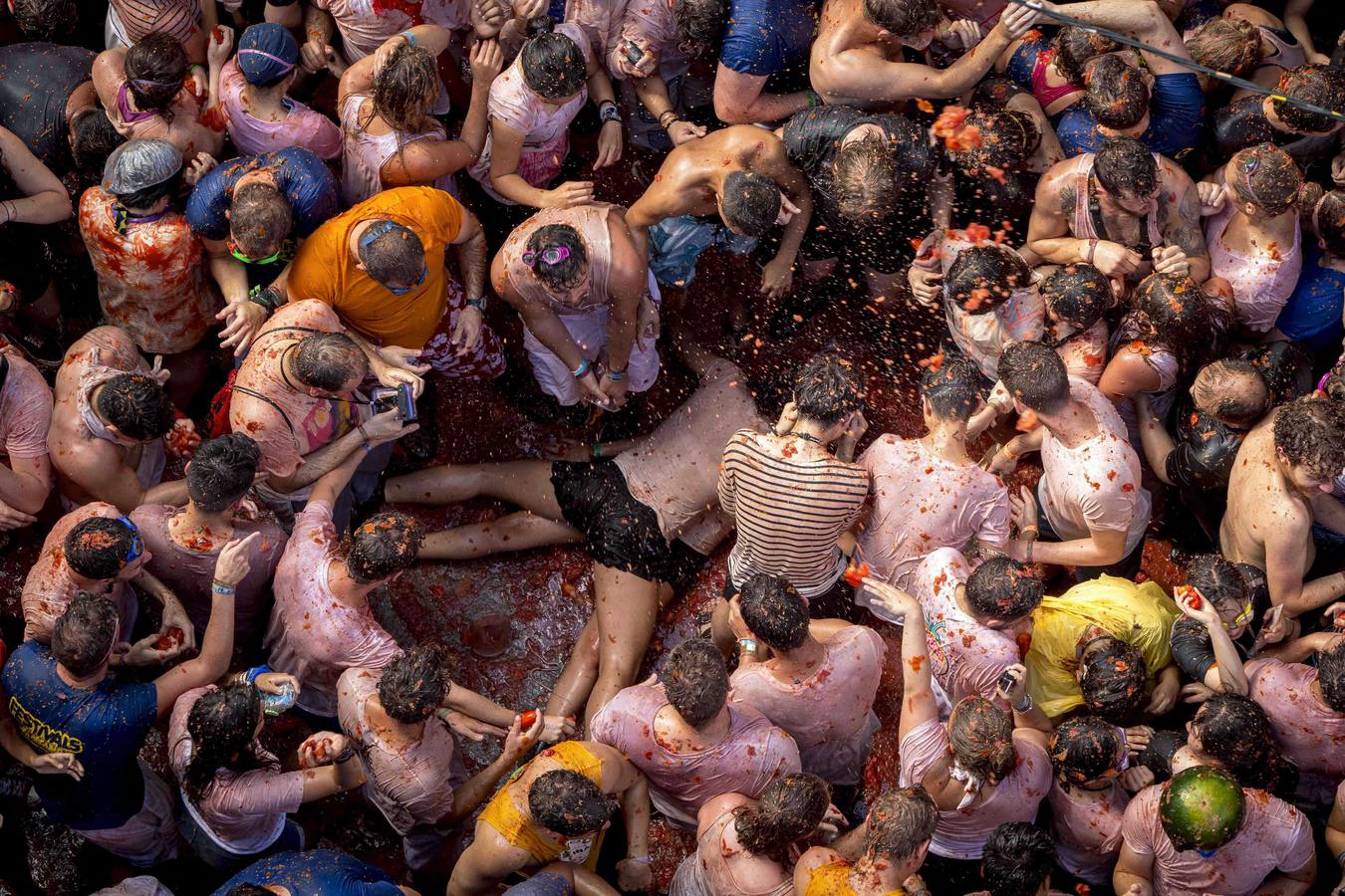 Tomatina 2015