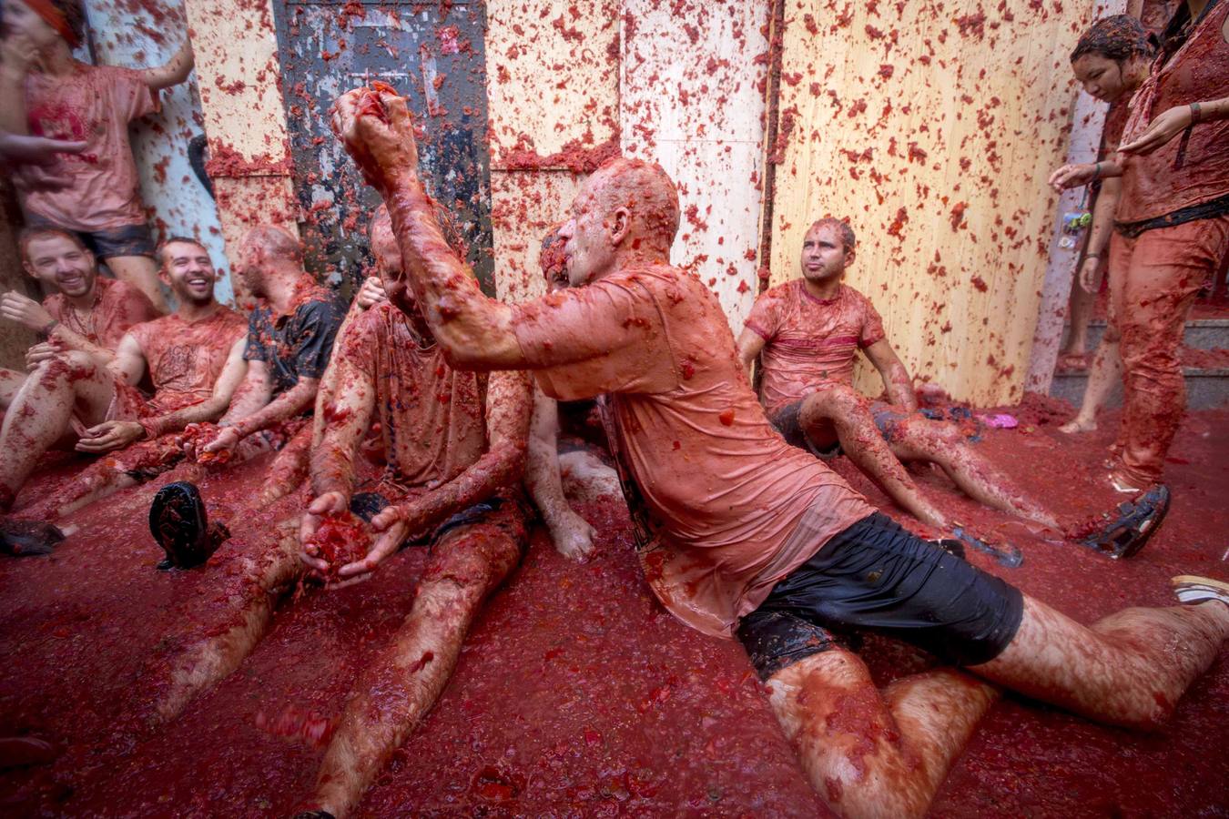 Tomatina 2015