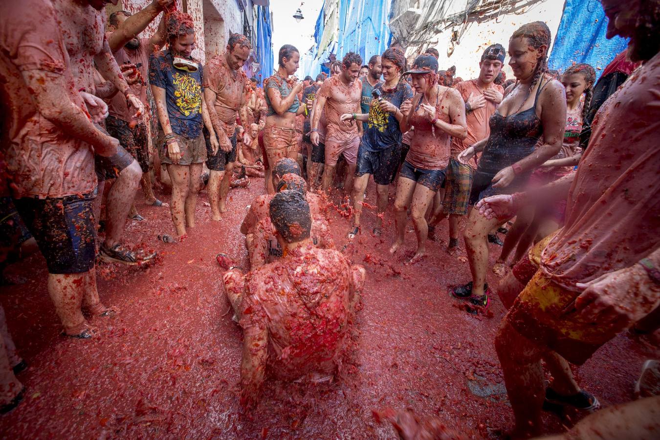 Tomatina 2015