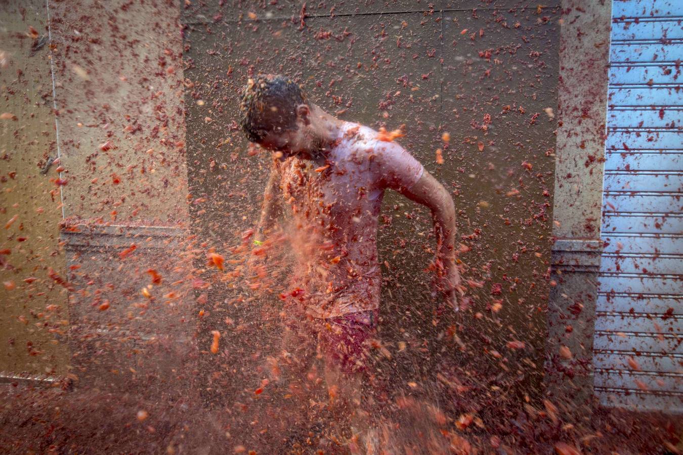 Tomatina 2015