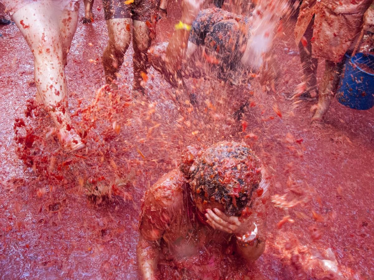 Tomatina 2015 (IV)