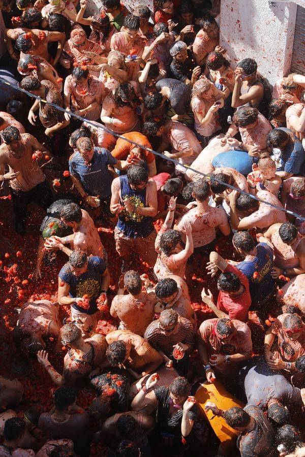 Tomatina 2015 (III)