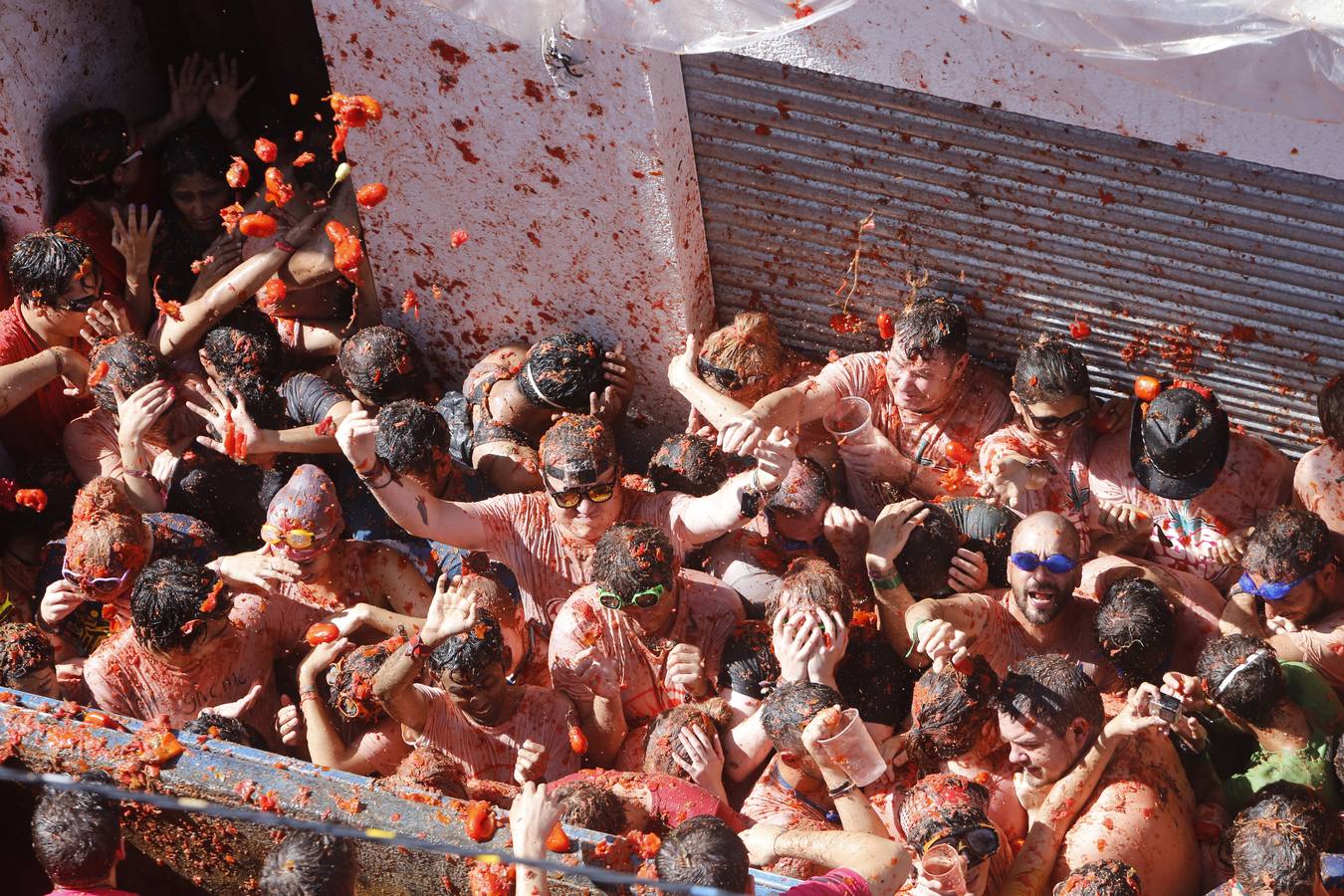 Tomatina 2015 (III)