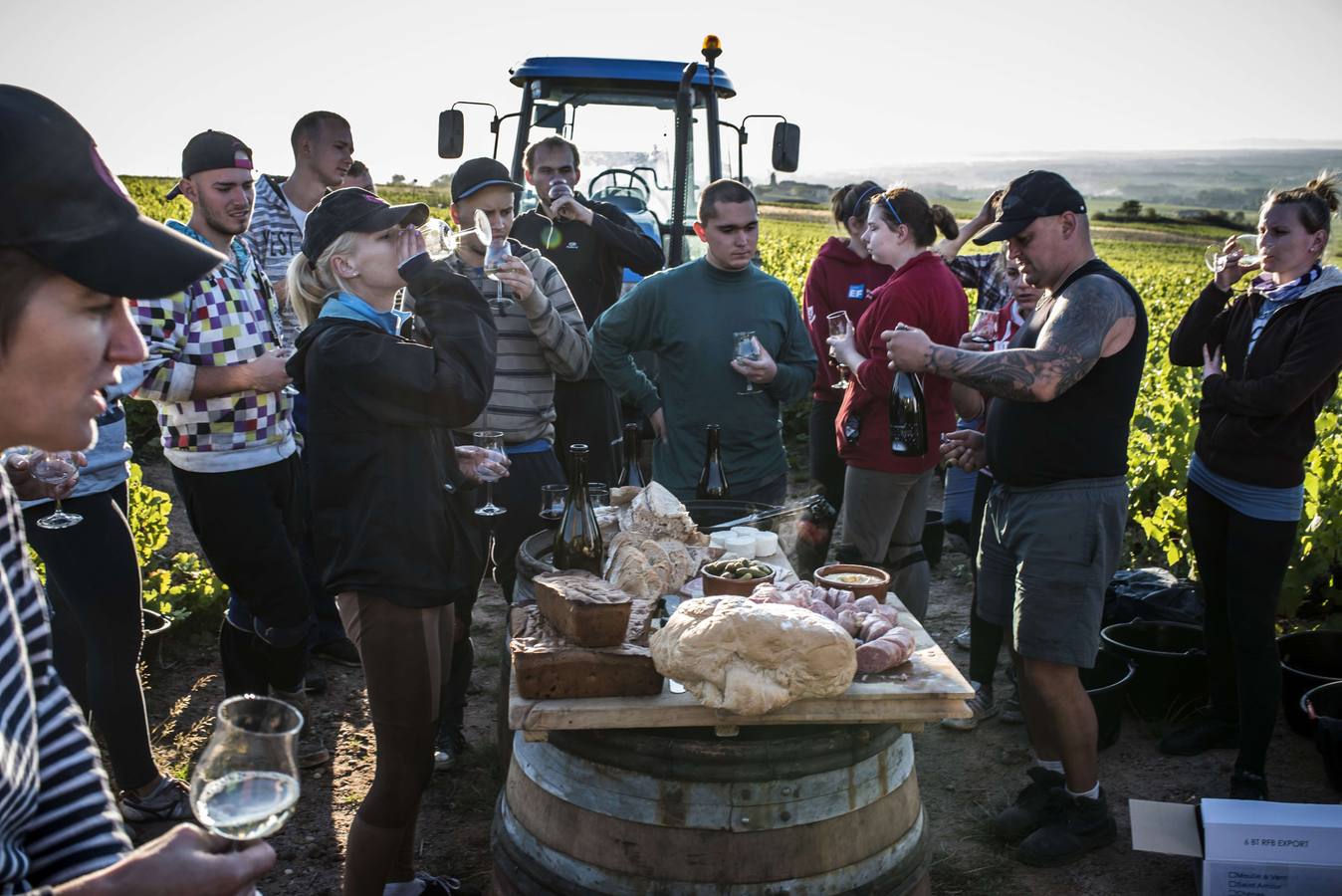 El frescor de la noche que da aroma al vino