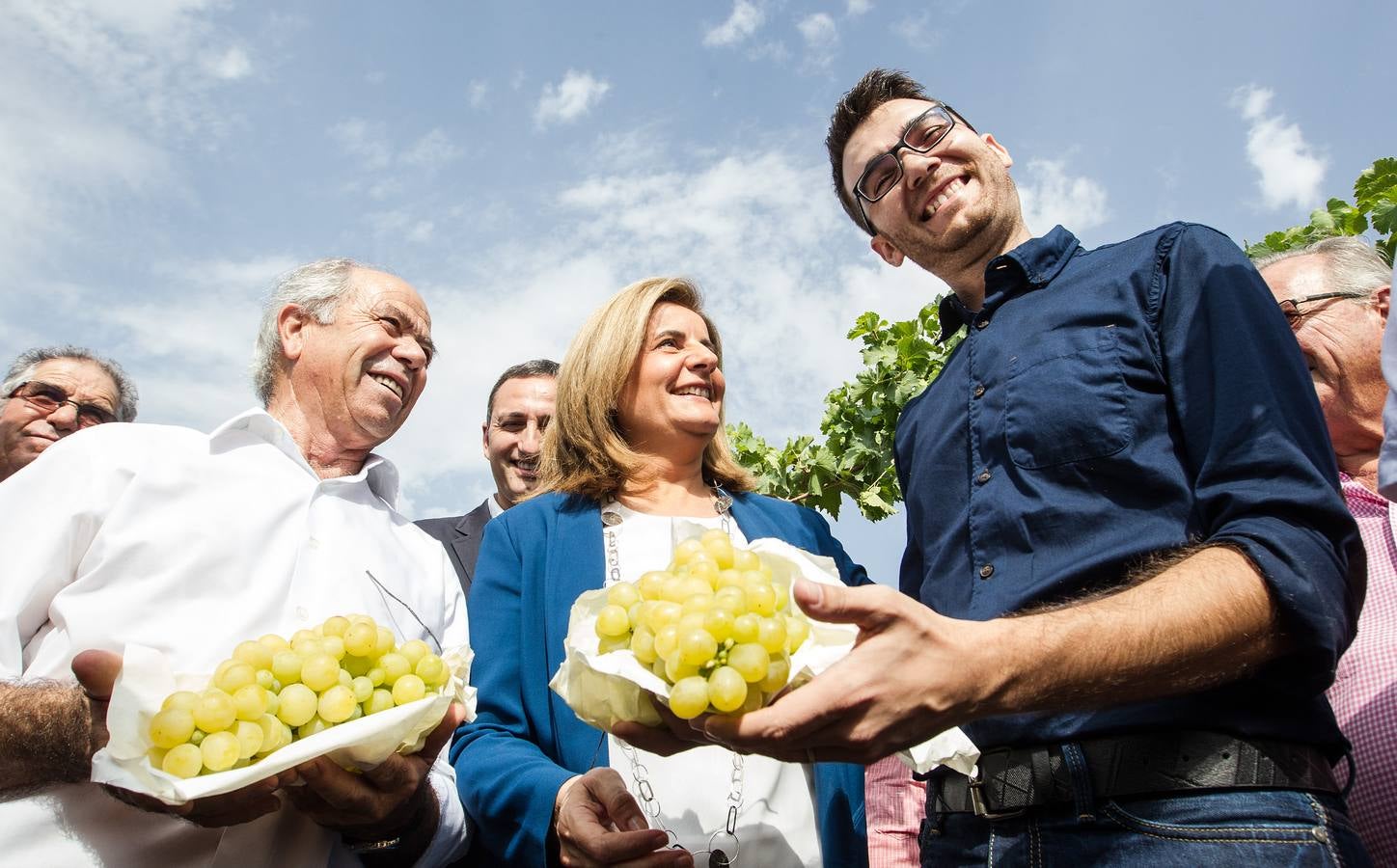 Primer corte de la uva de mesa del Vinalopó