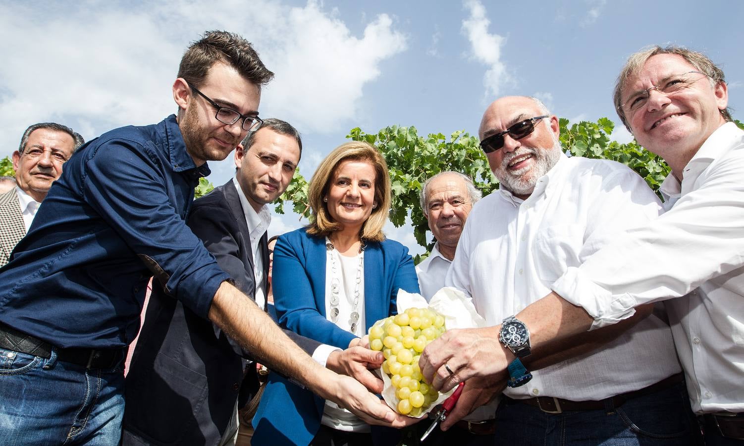 Primer corte de la uva de mesa del Vinalopó