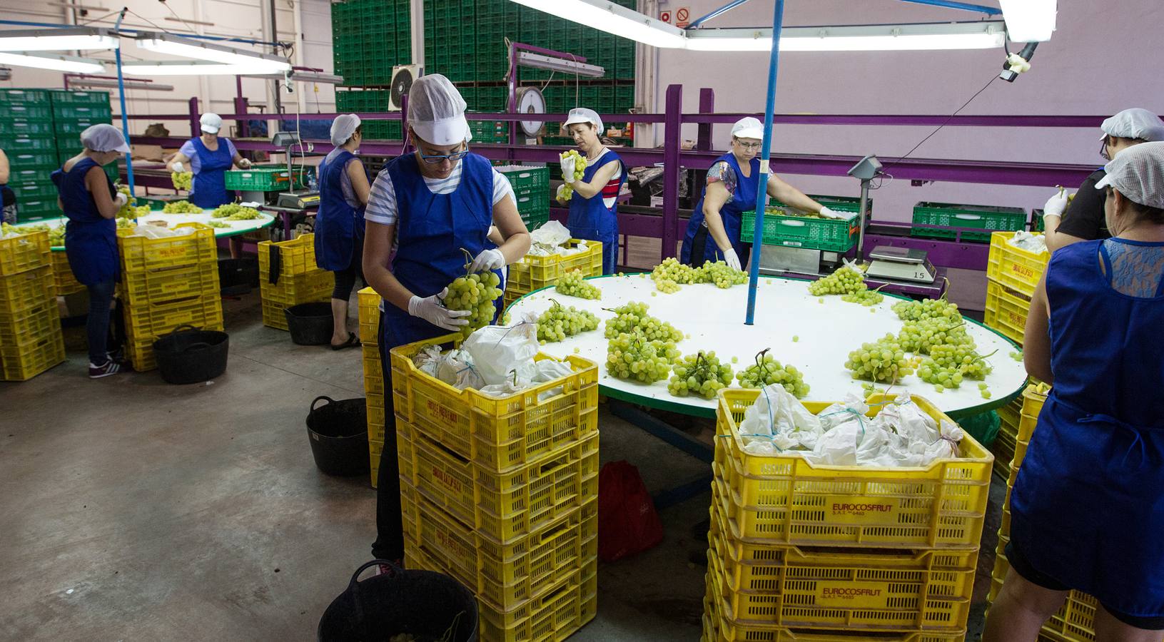 Mercadona afianza su relación con proveedores del sector primario en Alicante