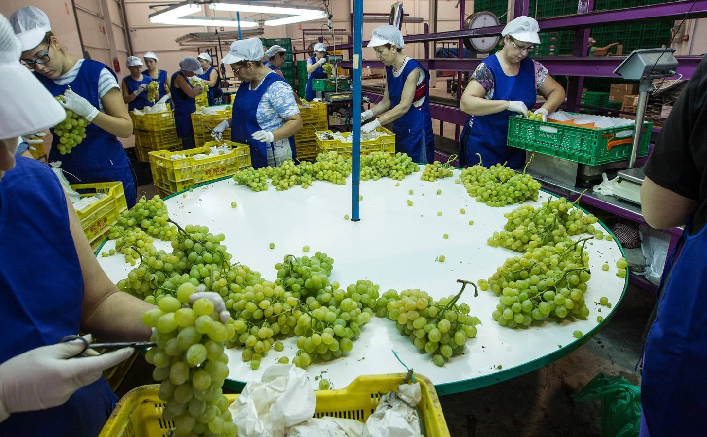 Mercadona afianza su relación con proveedores del sector primario en Alicante