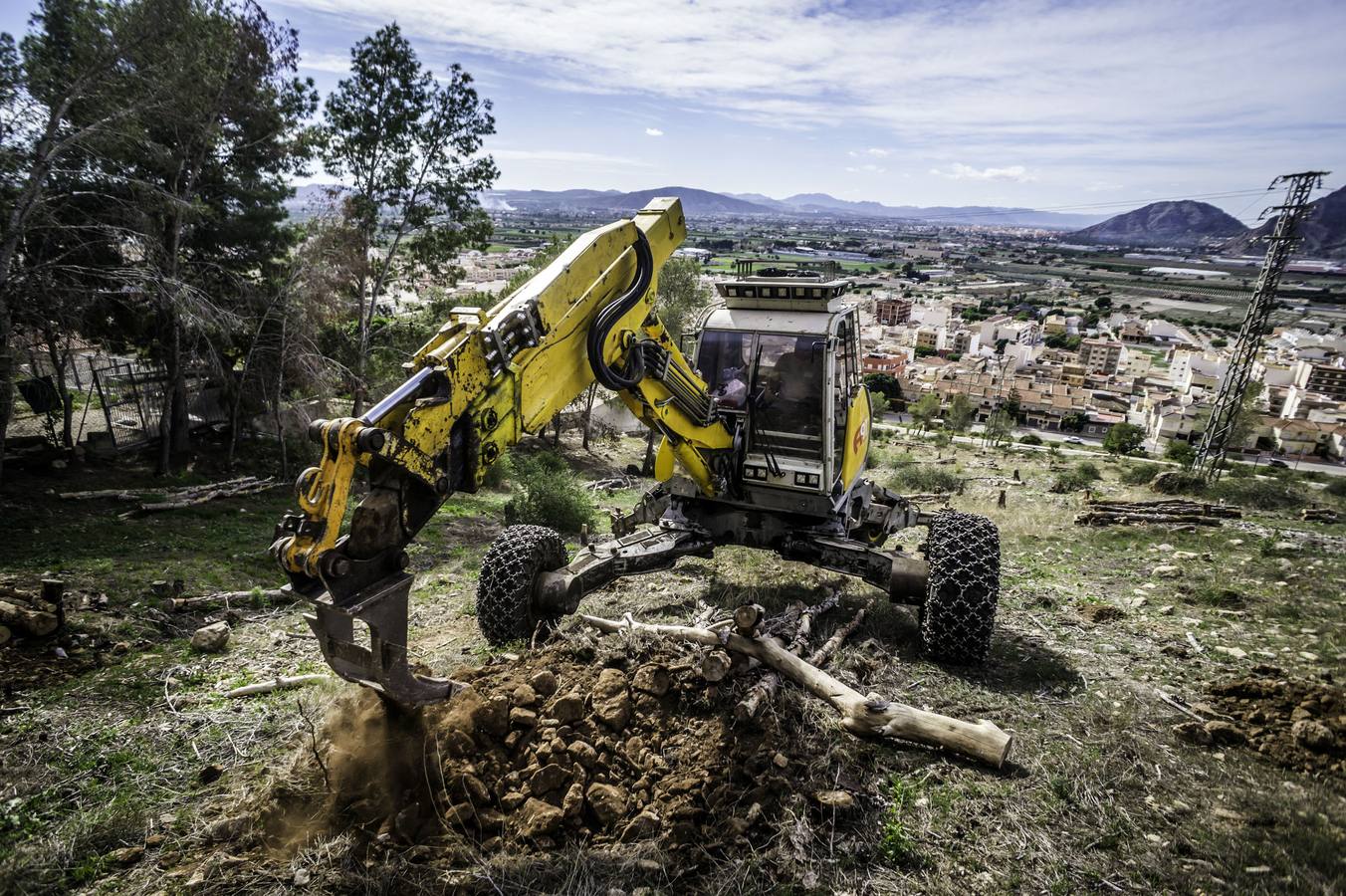 Un escavadora astillará todos los árboles arrasados por el tomicus