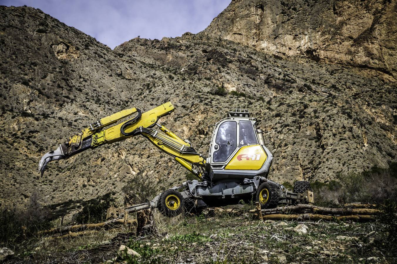 Un escavadora astillará todos los árboles arrasados por el tomicus