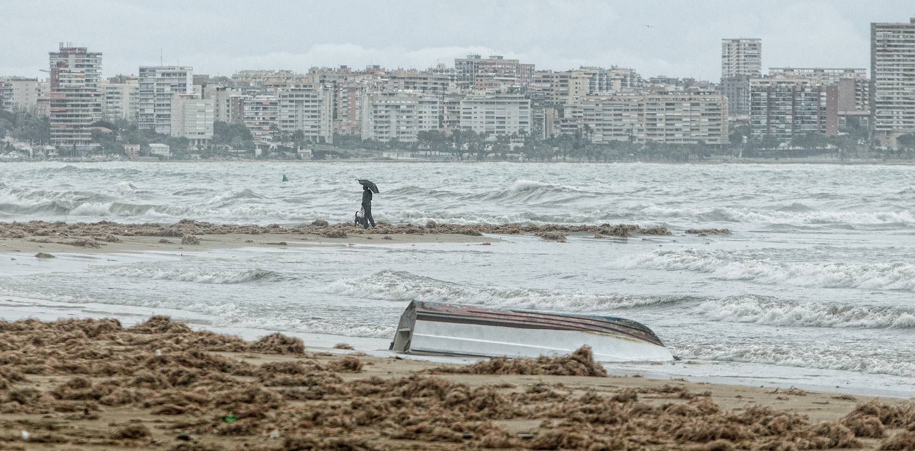 El temporal causa destrozos, suspende clases y deja más de 100 litros en 12 horas