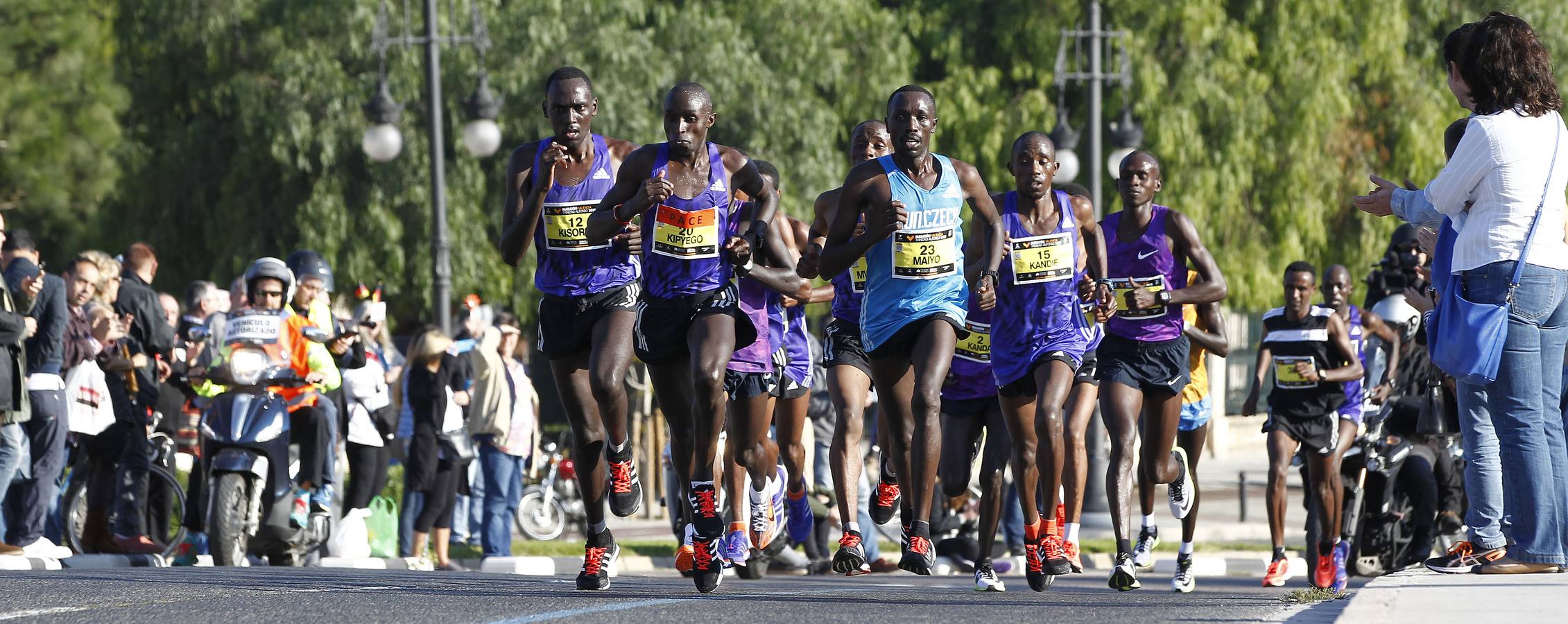 Maraton Valencia Trinidad Alfonso 2015 (II)