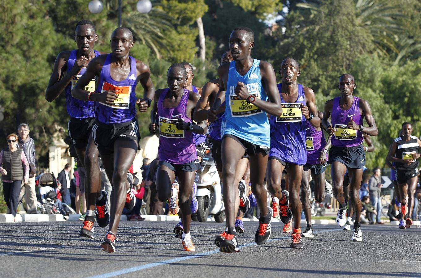 Maraton Valencia Trinidad Alfonso 2015 (II)