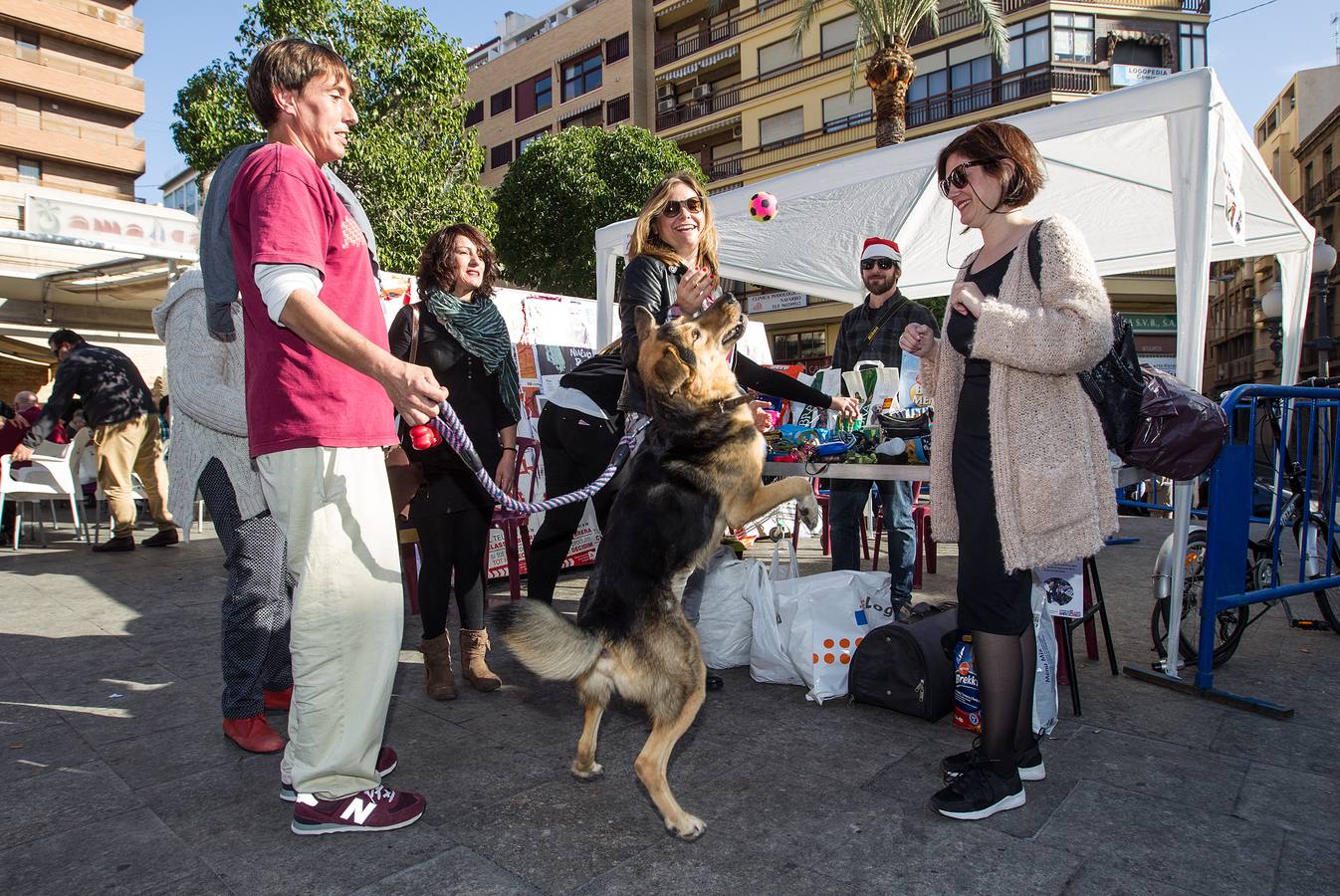 Altas temperaturas en la jornada de reflexión en Alicante