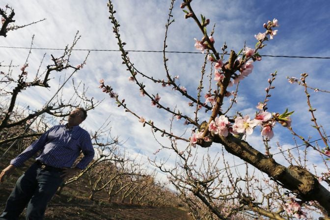 El cálido invierno asfixia al campo