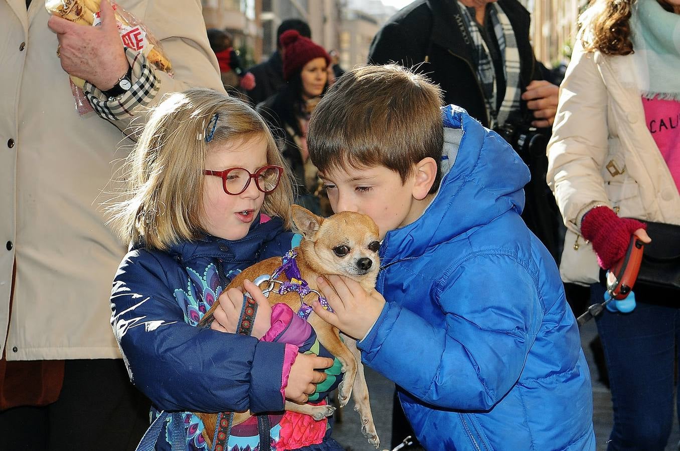 Bendición de animales en San Antonio (II)