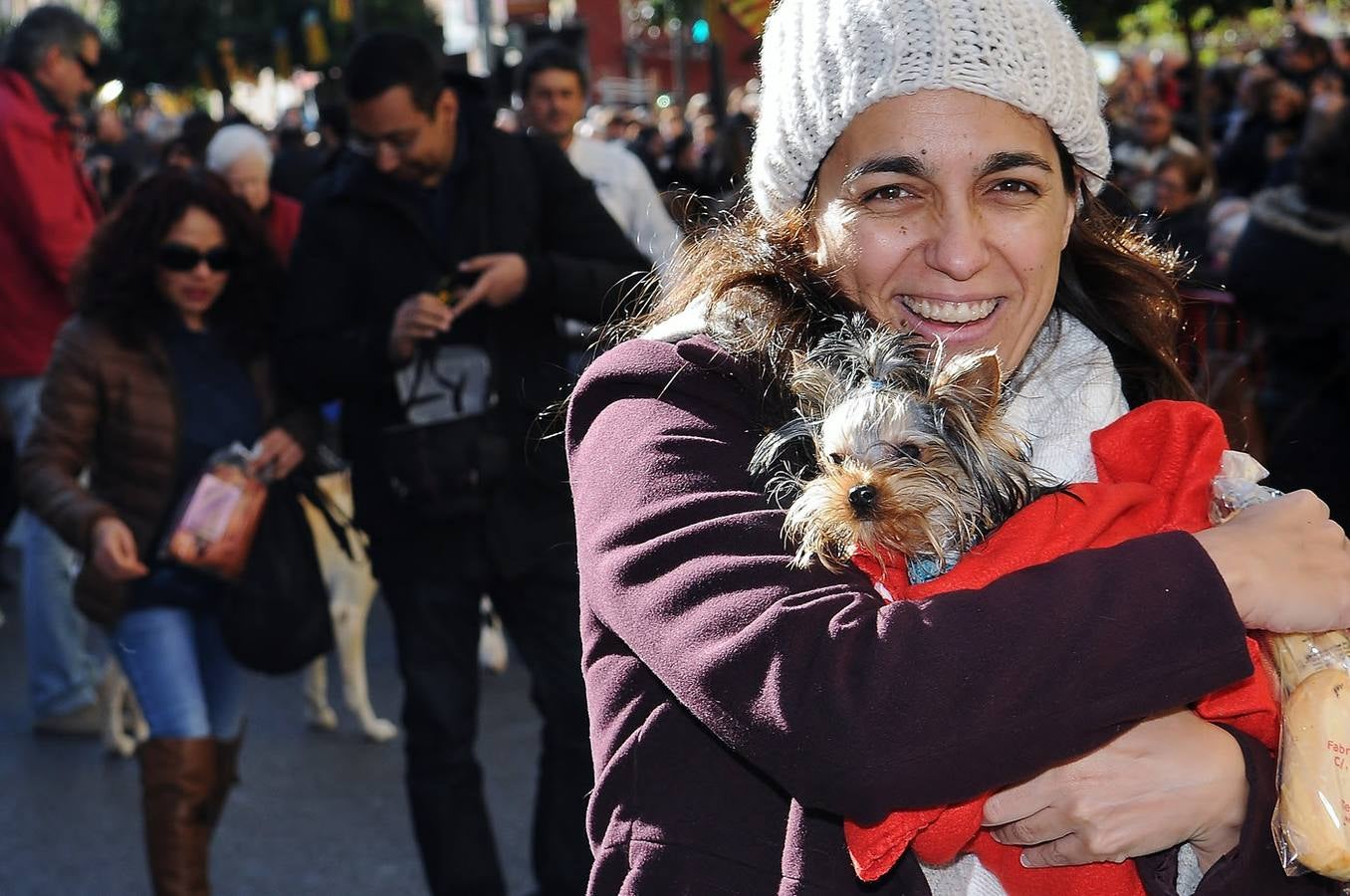 Bendición de animales en San Antonio (II)