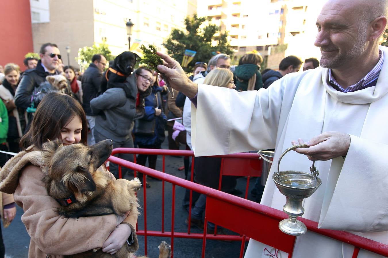 Bendición de animles en San Antonio