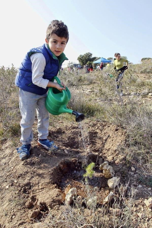 Reforestación en el Benacantil y en Orgeggia