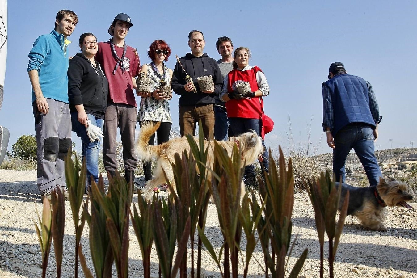 Reforestación en el Benacantil y en Orgeggia