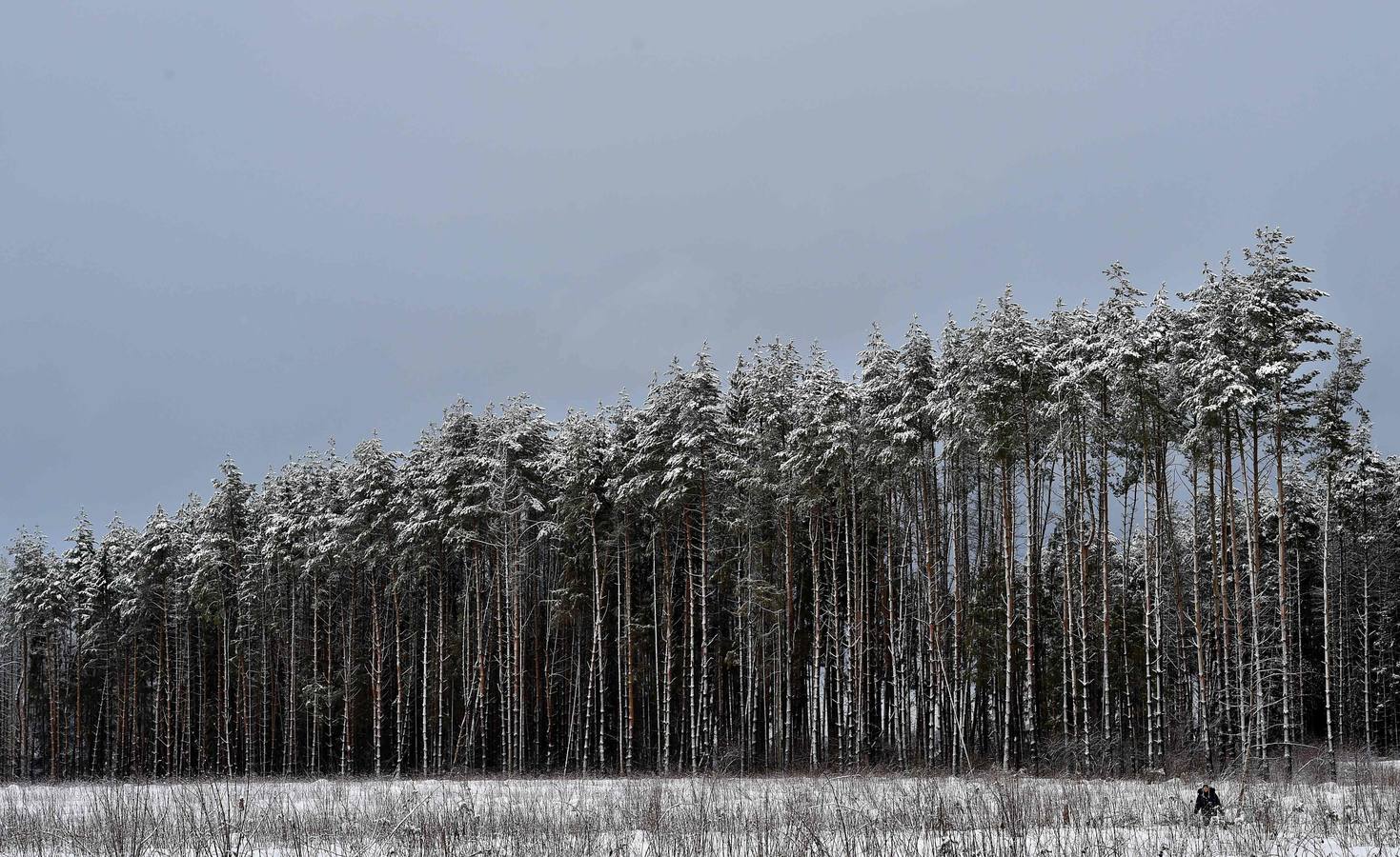 Los colores del invierno