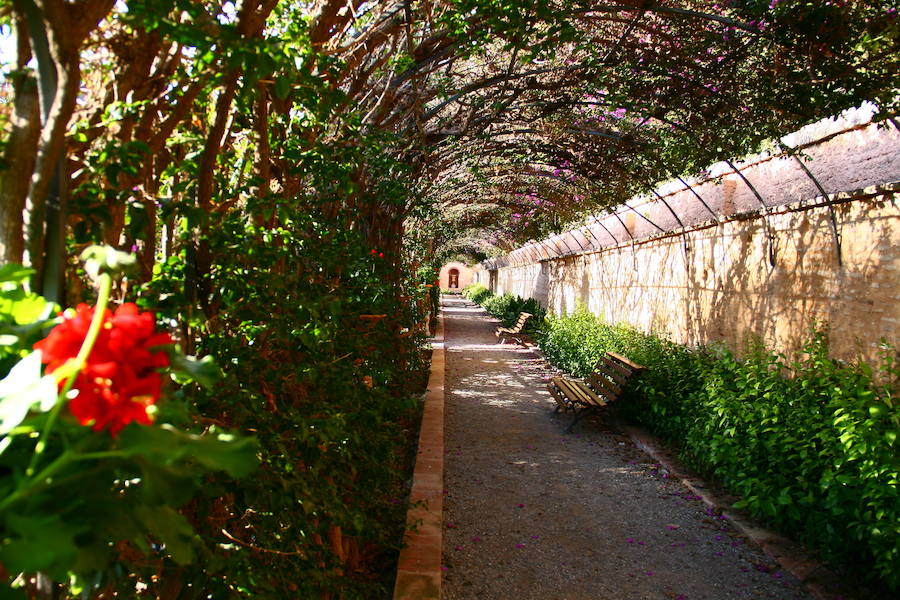 Jardines de Monforte. 