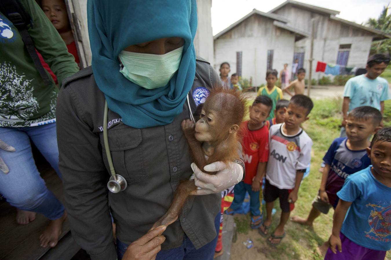 Una de las fotografías de la serie de Tim Laman, galardonada con el primer premio Stories (Historias), en la categoría de Naturaleza. Muestra a una veterinaria con una cría de orangután de Borneo que fue rescatada de una casa en la que permanecía cautiva como mascota en la población de Sungai Besar, en la provincia de Kalimantan Occidental, Indonesia, el 27 de julio de 2015.