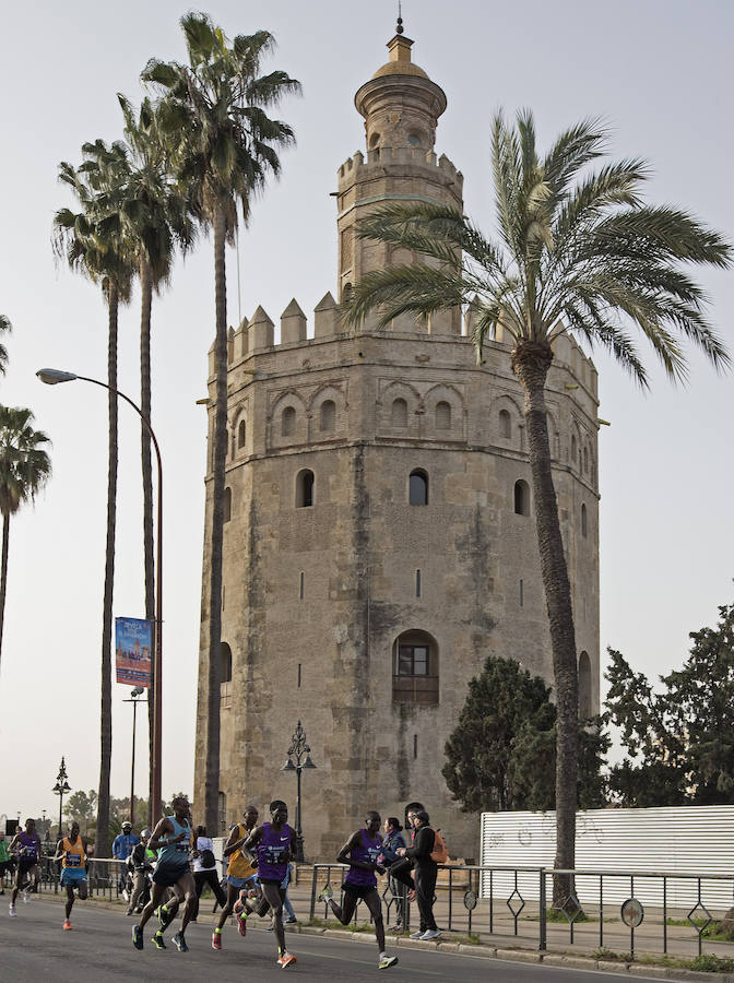 Fotos del Maratón de Sevilla 2016
