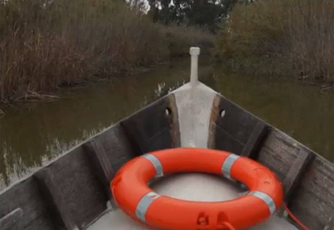 La Albufera.