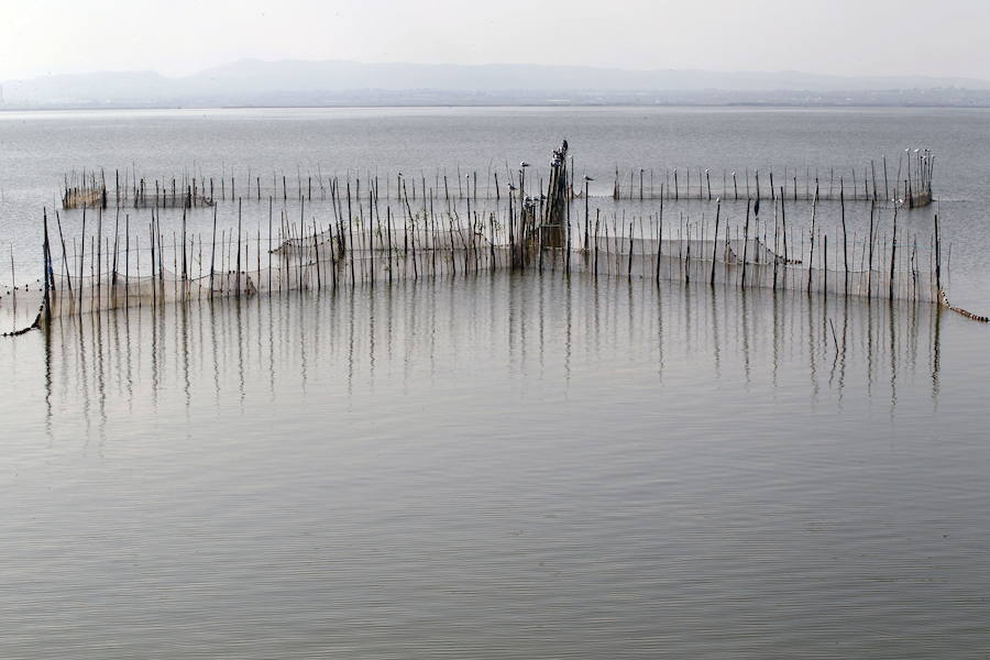 Parque Natural de La Albufera