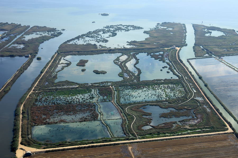 Parque Natural de La Albufera