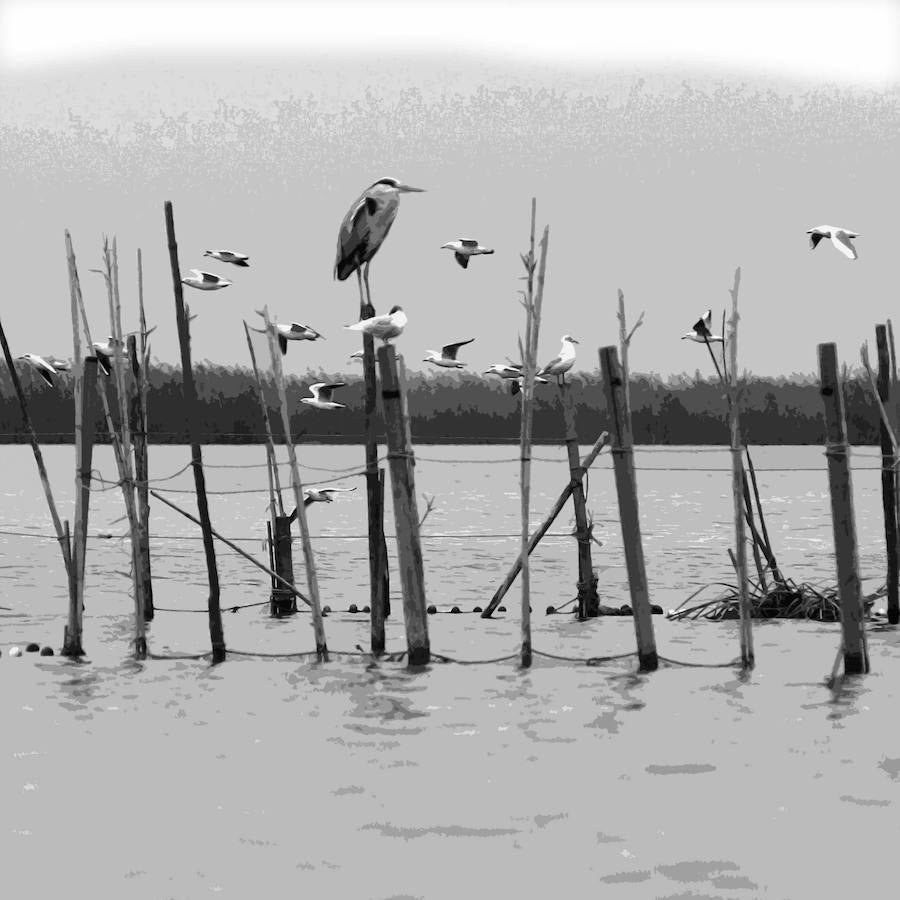 Parque Natural de La Albufera