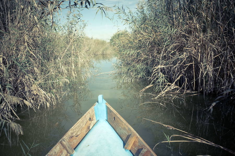 Parque Natural de La Albufera