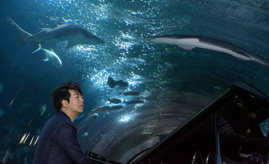 Lang Lang, en el túnel de los tiburones del Oceanogràfic