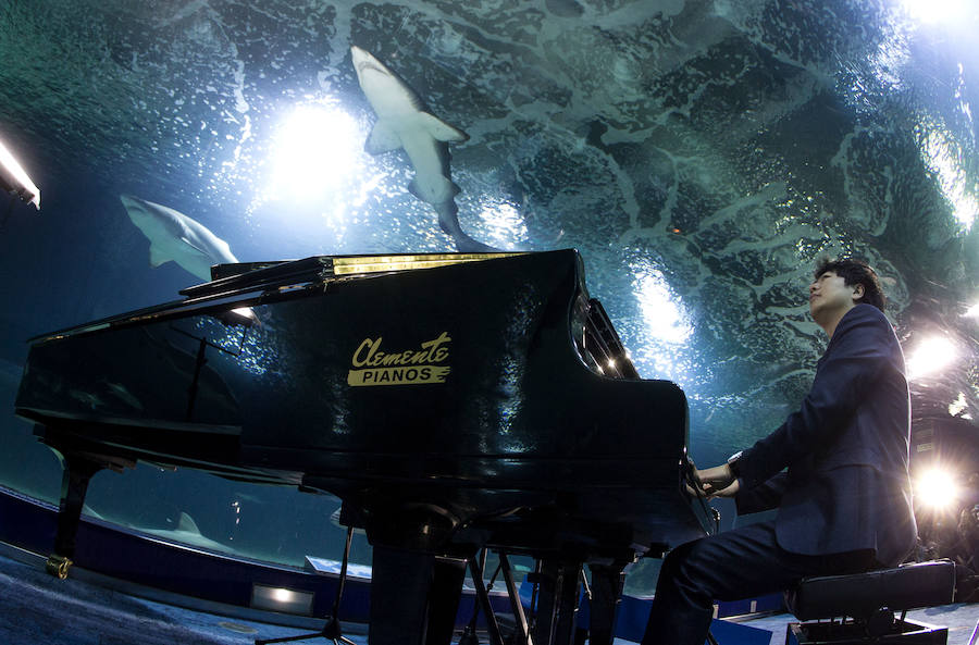 Lang Lang, en el túnel de los tiburones del Oceanogràfic