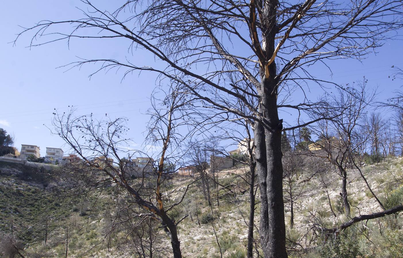 Aspecto que presenta la urbanización Sierra Perentxiza de Godelleta, en imágenes